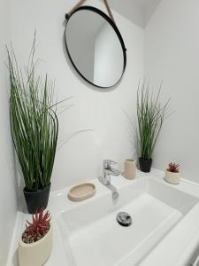 Ein Waschbecken im Badezimmer mit zwei Topfpflanzen und einem Spiegel in der Unterkunft Le Cocon Central avec Balnéo in Roanne