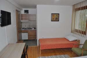 a small room with a bed and a kitchen at APARTMANSKI SMEŠTAJ SOLARIS kod Aqua Parka STUDIO APARTMANI in Soko Banja