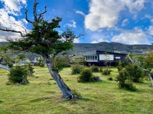 a tree in a field next to a house at Geikie Lodge in Torres del Paine +91 photos