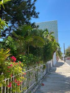 a white fence with flowers and plants on a sidewalk at Galeria Elementos, Tierra in Campeche