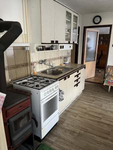 a small kitchen with a stove and a sink at chalupa na Vysočině in Věž