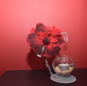 a red flower in a vase on a table at Chez Martine et Jean-Marc in Tintigny +19 photos