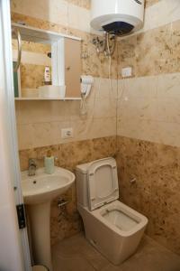 a bathroom with a toilet and a sink at Lake Bliss Cabins in Shkodër