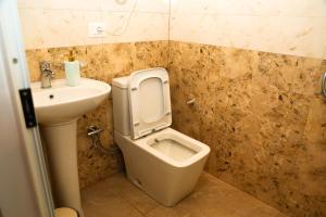 a bathroom with a toilet and a sink at Lake Bliss Cabins in Shkodër