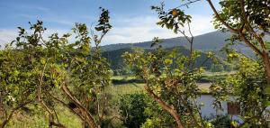 a view of a mountain from behind some trees at Villa Shelegar in (( Metoq ))