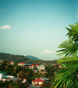 a view of a city with houses and trees at Panorama Gora in Kutaisi