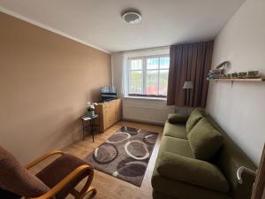 a living room with a green couch and a window at Penzion U Peňázů in Tři Studně