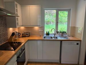 a kitchen with white cabinets and a sink and a window at Glanafon in Abergorlech