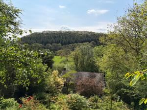 a view of a garden with a mountain in the background at Glanafon in Abergorlech +4 photos