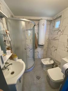 a bathroom with a shower and a sink and a toilet at Blue Nest in Plav +20 photos