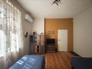 a living room with a bed and a television at Alice house in Sofia