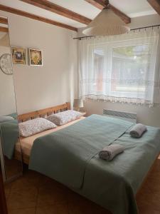 a bedroom with two beds and a window at Domki SOSNOWY PARK in Białogóra
