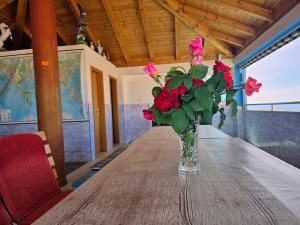 a vase filled with red roses sitting on a table at Guest House Banana in Dubrovnik