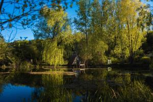 a pond with a house in the middle of it at Maison Forenea chambres d'hôtes dans les bois avec petits déjeuners BIO in Sainte-Nathalène