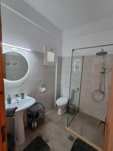 ein Badezimmer mit Dusche, Waschbecken und Toilette in der Unterkunft VILLA VRACHOS Preveza in Vráchos