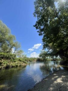 a river with trees on the side of it at Damiano House in Sarandë
