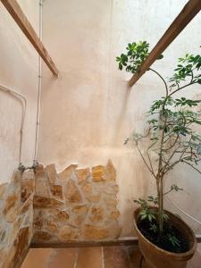 a plant in a pot next to a stone wall at Casa Inés in Xerta