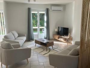 a living room with two couches and a tv at La Maison de Miel in Beynat