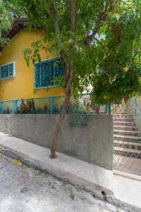 a tree in front of a yellow building with blue windows at Pousada Flor de Olinda in Olinda