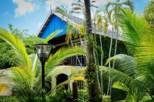 Vrt pred nastanitvijo LionsDive Beach Resort