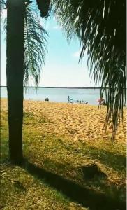 a beach with a palm tree and the ocean at Casa tranquila Paso de la Patria in Paso de la Patria