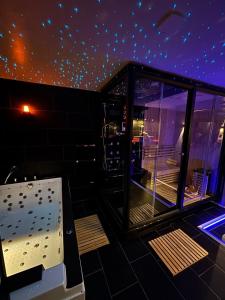 a room with a view of a room with a star ceiling at Work In Spa in Voiron