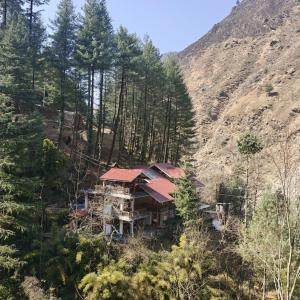 an aerial view of a house in the forest at The Woods - Tirthan Valley in Gushaini