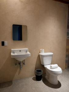 a bathroom with a toilet and a sink at Hotel Mary o in Valle de Bravo