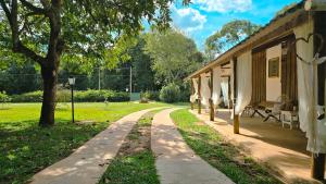 a path next to a house with a tree at Reserva Cambucá - Afeto, Pessoas e Sabores in Itirapina
