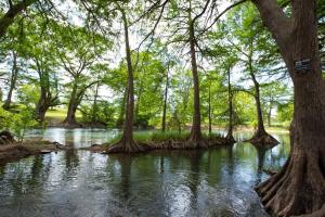 a river with trees in the middle at WW A302 River Relaxation in New Braunfels