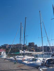a group of boats docked in a harbor at Mariposa in Capodimonte