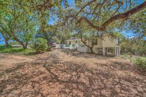 a large house with a tree in front of it at CL 2459 Yellow Rose in Canyon Lake
