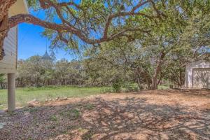 an open yard with trees and a house at CL 2459 Yellow Rose in Canyon Lake