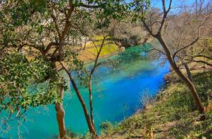 a view of a river through the trees at CW B206 Rivers Edge in New Braunfels