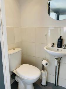 a white bathroom with a toilet and a sink at Cozy 1 bed city apartment in Peterborough