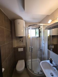 a bathroom with a shower and a toilet and a sink at Bono Apartments in Budva +30 photos