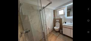 a bathroom with a shower and a toilet and a sink at Divine Apartmani in Dobanovci +10 photos