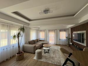 a living room with a couch and a tv at Divine Apartmani in Dobanovci