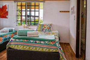 a room with a bed and a couch and a window at Villa Jair Hotel in Filandia +77 photos