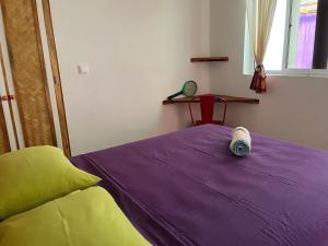 a bedroom with a purple bed and a chair at Pension Te Aroha - Te Haumaru in Maatea +1 photo