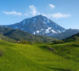 a mountain in the distance with a green field at Casa La Farrapona Torrestío Babia in Torrestío