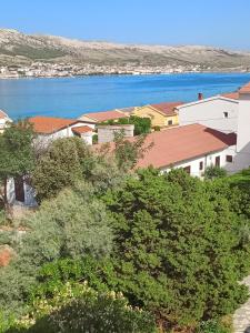 a group of houses and trees with a body of water at Apartments Vuleta in Pag