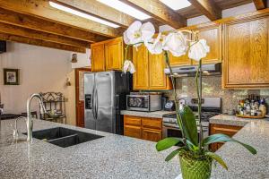 a kitchen with a stainless steel refrigerator and a plant at Sunrise Mountain Retreat in Cazadero