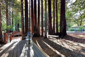 Ein Fahrrad, das neben einem Tisch mit Bäumen geparkt ist in der Unterkunft Wagging Woods in Cazadero