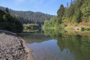 a view of a river with trees in the background at Antler River Lodge in Guerneville