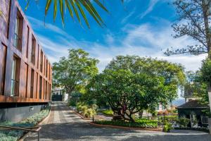 a street in front of a building with trees at ARTS IN Hotel Conde Carvalhal in Funchal