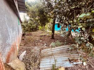 a garden with a staircase next to a house at Apt 8 in Tena