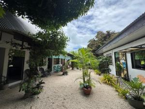 a courtyard with potted plants next to a building at Pension Mitiana in Tatoi +3 photos