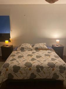 a bedroom with a bed with a comforter and two lamps at Hostal Tour Ñuble in General Bernardo O'Higgins