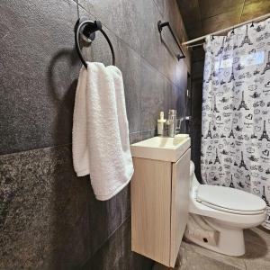 a bathroom with a sink and a toilet and a shower at Isabella's Cottage in Cholula